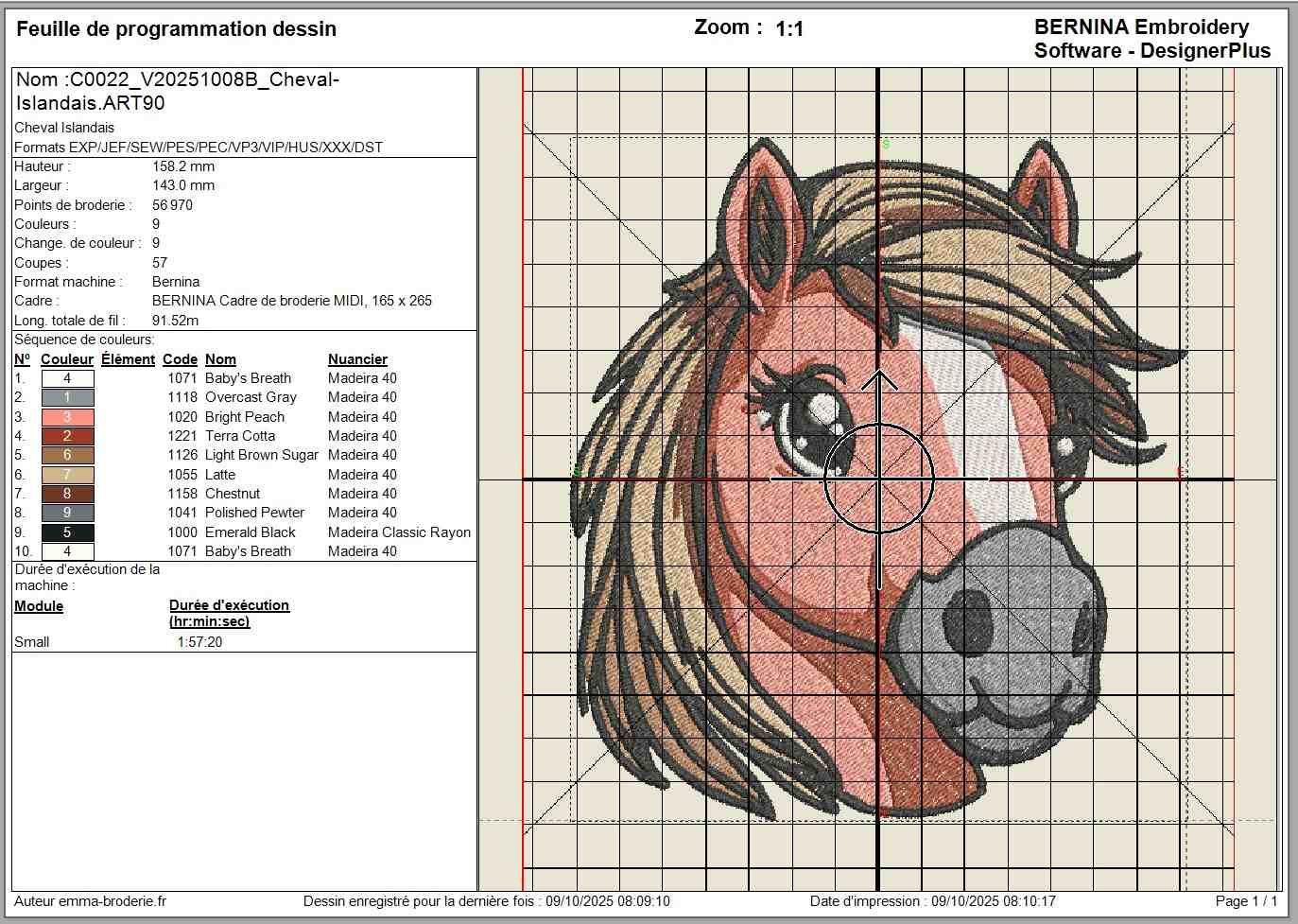 Cheval - Islandais – Image 4