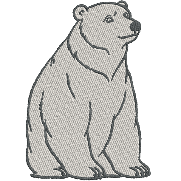 Ours - Polaire