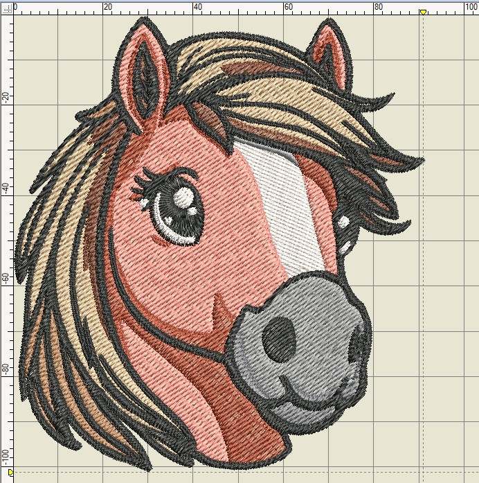 Cheval - Islandais – Image 7