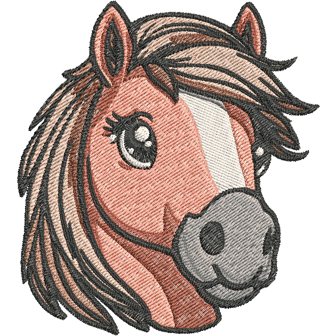 Cheval - Islandais – Image 5